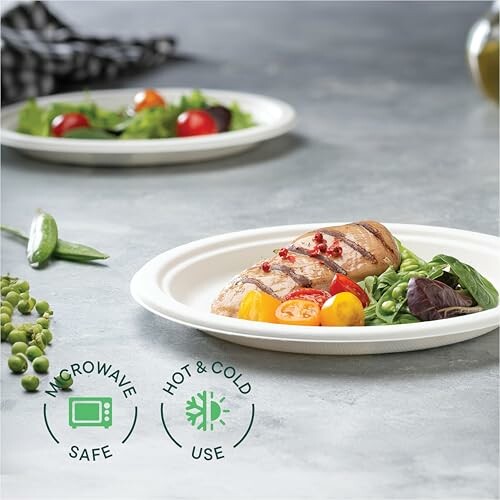 Eco-friendly disposable plate with grilled chicken and salad.